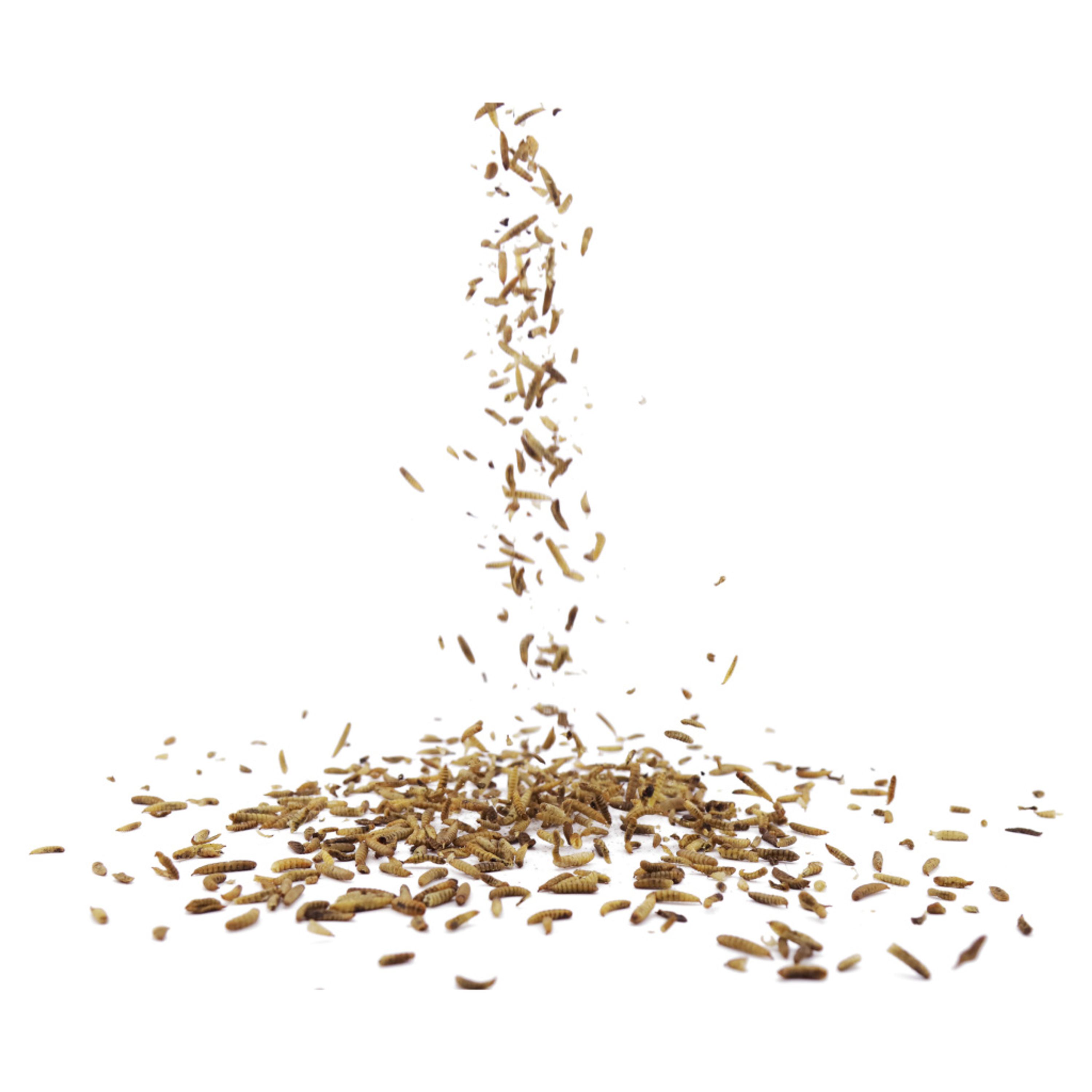 Eimer mit getrockneten Kalziumwürmern 600 g | Vogelfutter | CJ Wildlife